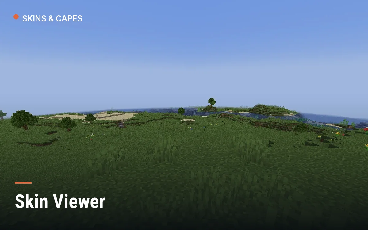 Skin Viewer
